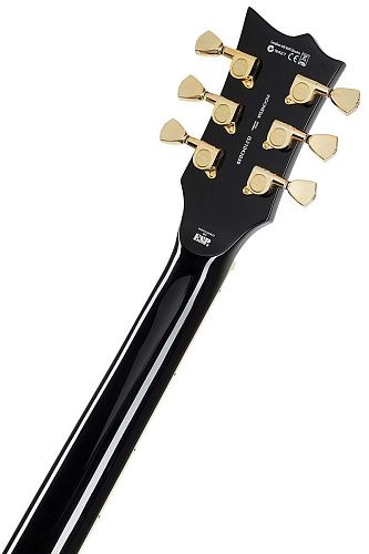 ESP LTD EC-256 Black Электрогитара.