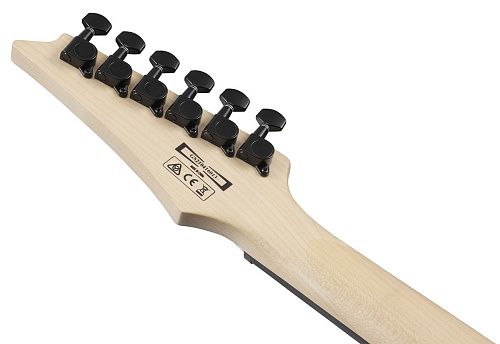 Ibanez GRG120QASP-BGD Электрогитара.