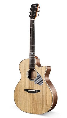 Tyma TG-5P Акустическая гитара с аксессуарами.